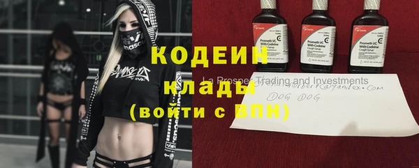 эйфоретик Осинники
