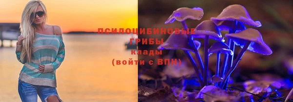 эйфоретик Осинники