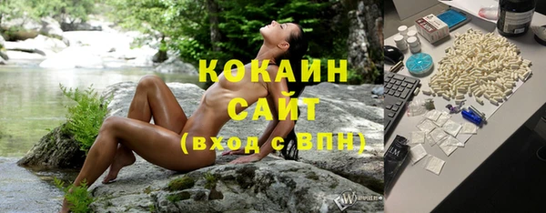 эйфоретик Осинники