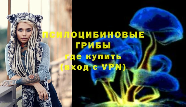 эйфоретик Осинники