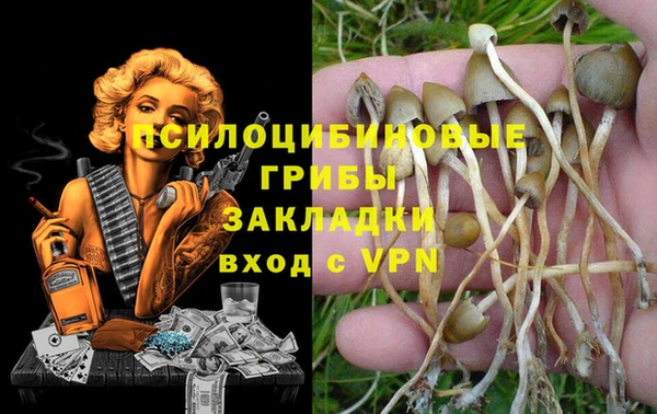 эйфоретик Осинники