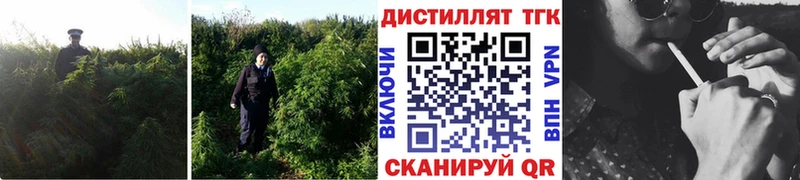 цены наркотик  Керчь  ТГК THC oil 