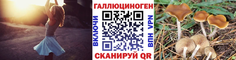 Галлюциногенные грибы Psilocybe  наркота  Керчь 