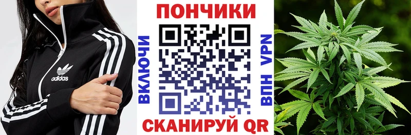 Бошки марихуана гибрид omg tor Керчь купить цена