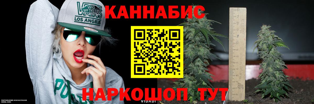 Бошки Шишки Bruce Banner  Вход с VPN  МАРИХУАНА THC 21%  Конопля MAZAR  Бошки марихуана THC 21%  Керчь 